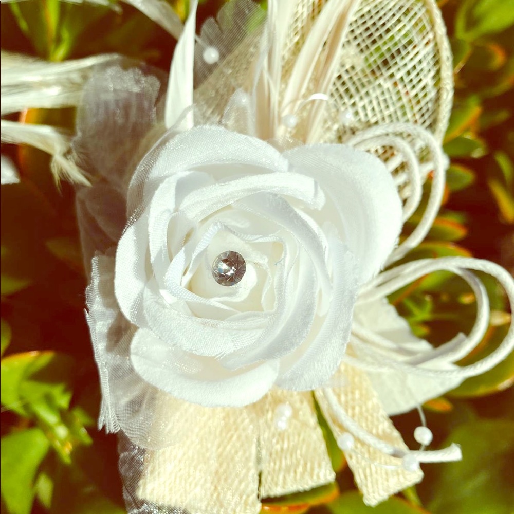 Hair Clip